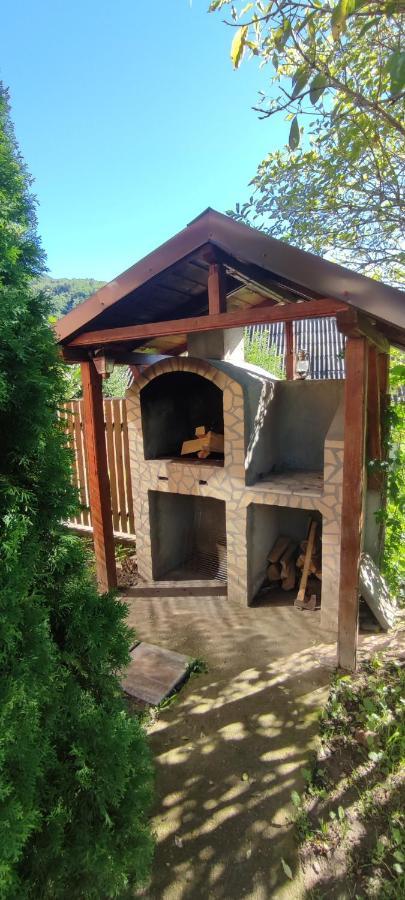 Cottage In Traditional Village Bradulet, Arges County エクステリア 写真
