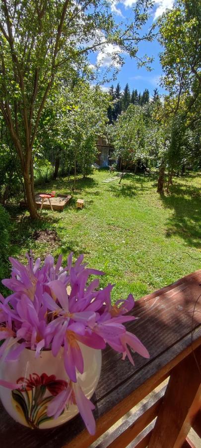 Cottage In Traditional Village Bradulet, Arges County エクステリア 写真