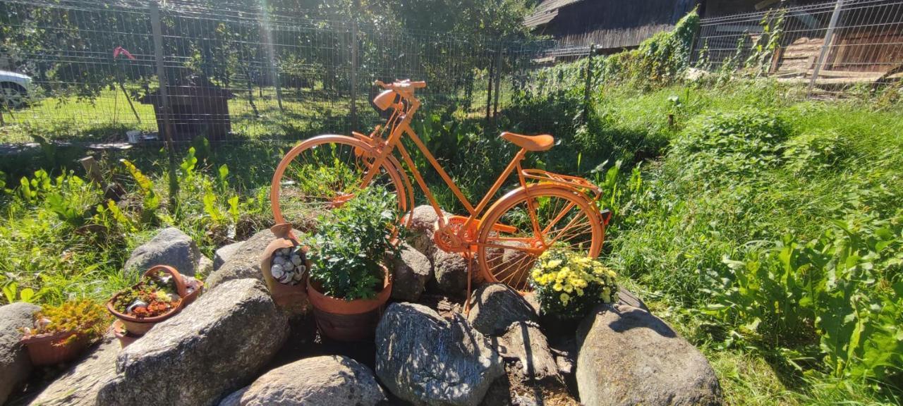 Cottage In Traditional Village Bradulet, Arges County エクステリア 写真