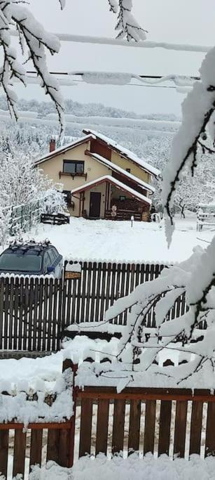 Cottage In Traditional Village Bradulet, Arges County エクステリア 写真