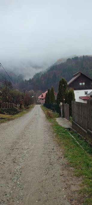 Cottage In Traditional Village Bradulet, Arges County エクステリア 写真