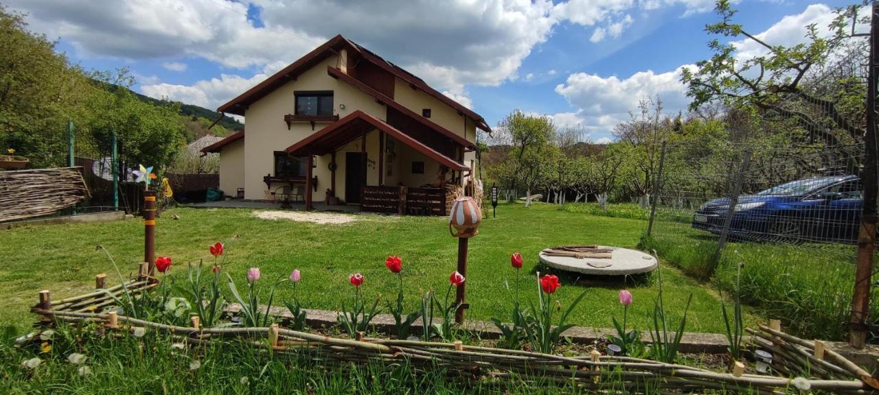 Cottage In Traditional Village Bradulet, Arges County エクステリア 写真