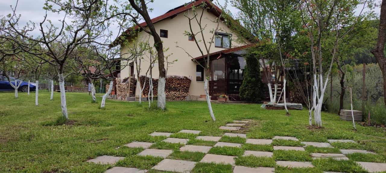 Cottage In Traditional Village Bradulet, Arges County エクステリア 写真