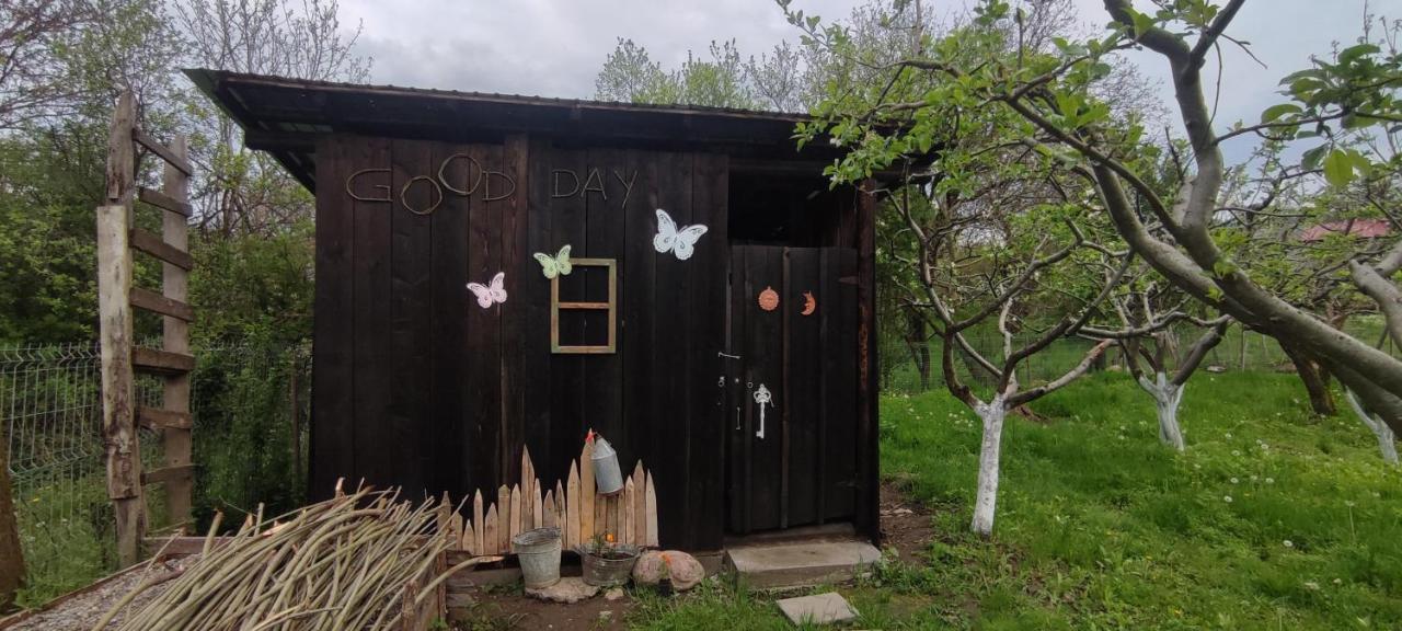 Cottage In Traditional Village Bradulet, Arges County エクステリア 写真