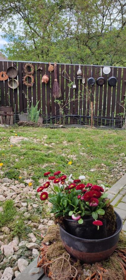 Cottage In Traditional Village Bradulet, Arges County エクステリア 写真
