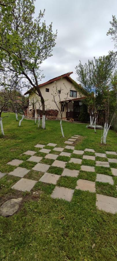 Cottage In Traditional Village Bradulet, Arges County エクステリア 写真