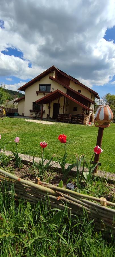 Cottage In Traditional Village Bradulet, Arges County エクステリア 写真