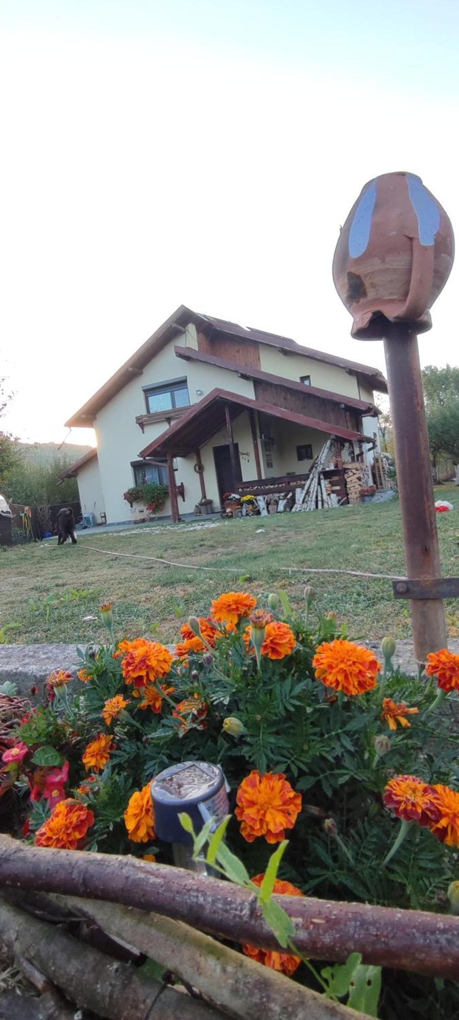 Cottage In Traditional Village Bradulet, Arges County エクステリア 写真
