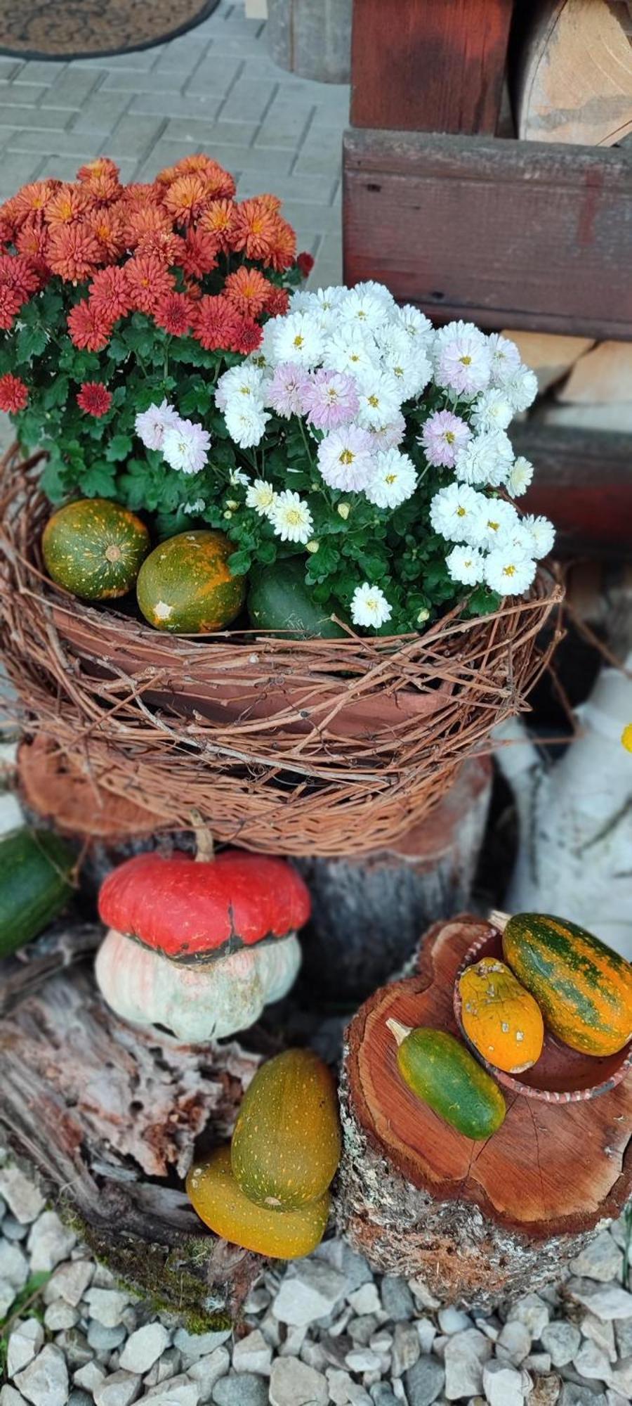 Cottage In Traditional Village Bradulet, Arges County エクステリア 写真