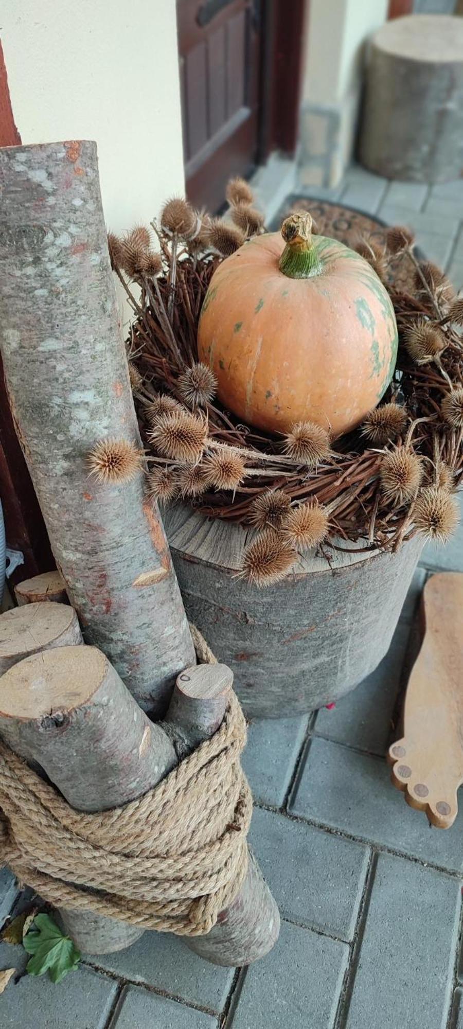 Cottage In Traditional Village Bradulet, Arges County エクステリア 写真