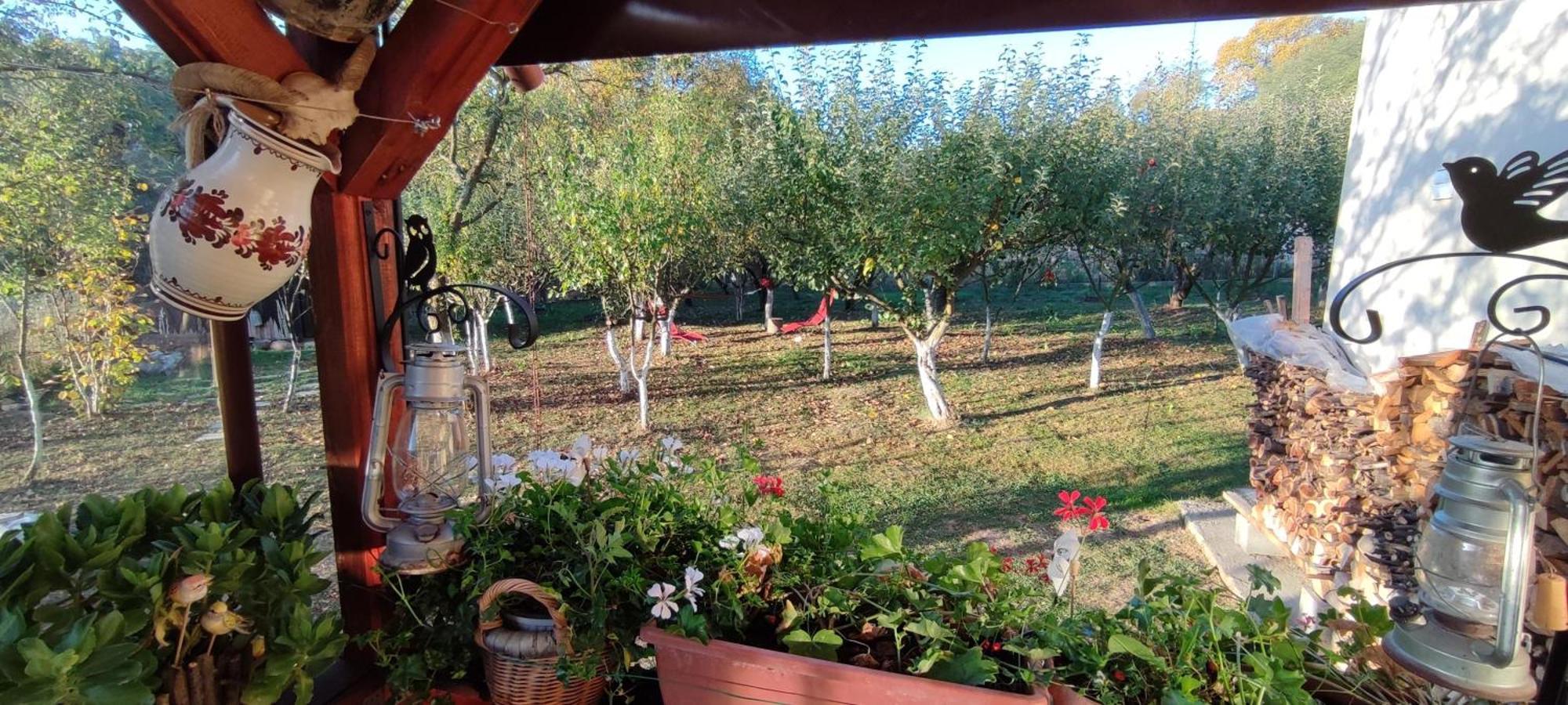 Cottage In Traditional Village Bradulet, Arges County エクステリア 写真