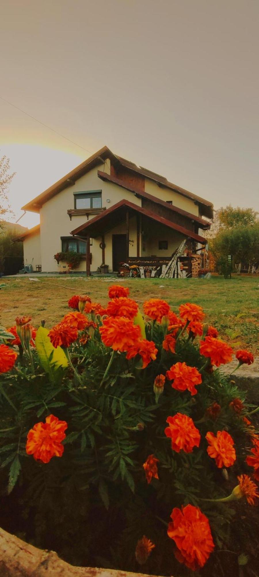 Cottage In Traditional Village Bradulet, Arges County エクステリア 写真
